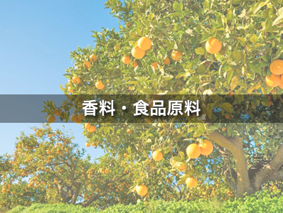Flavor / Fragrance Ingredients & Food Product Materials